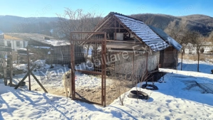  Casă + spațiu comercial + lac de pește, de vânzare ( Vernești Arges ) - imagine 14