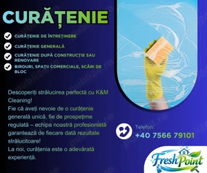 Curățenie profesională