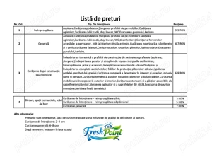 Curățenie profesională - imagine 2