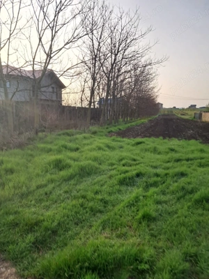 Teren intravilan  la 10 km   Bucuresti - imagine 8