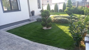 Duplex despartit prin garaj  I 5 camere I Complet mobilat I Dumbravita