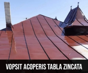 executam acoperise  - imagine 2