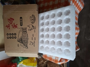 Vand oua incubat Brahma HD - imagine 4