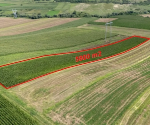 Teren agricol de vânzare - imagine 2