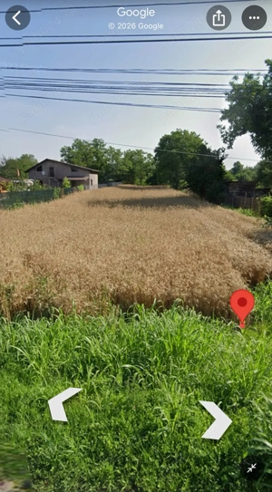 Teren de vanzare 1533m in comuna Tinosu, jud. Prahova