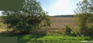 Teren intravilan 7500mp fs 38m DN1