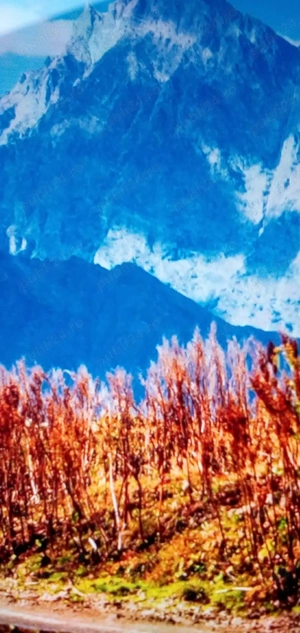 Bărbat discret și foarte curat 