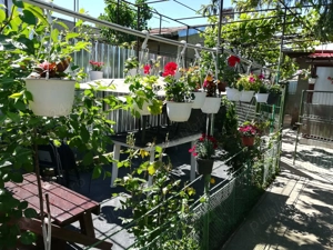 Vand 2 case Pantelimon - imagine 2