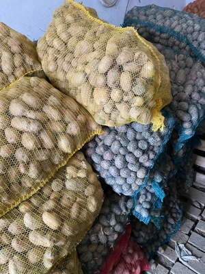 vand cartofi pentru animale 1 leu  kg