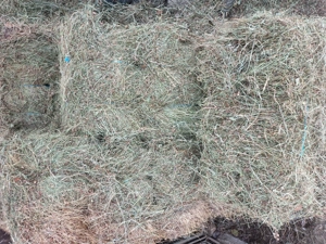 Vând   baloți de fan !