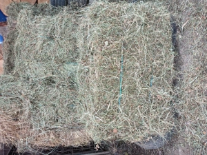 Vând   baloți de fan ! - imagine 2