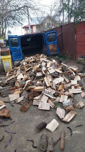 lemne de foc uscate  - imagine 2