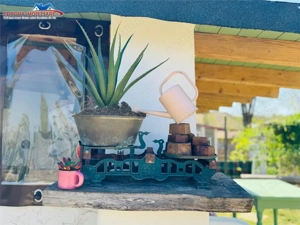 Casa de vanzare in Nufaru - imagine 17