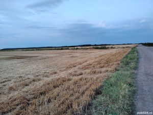 Vand teren extravilan in Ialomita  - imagine 3