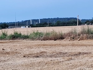 Vand teren extravilan in Ialomita  - imagine 4