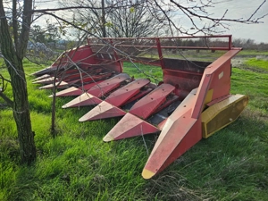 Header floarea-soarelui-CASE   METALAGRO