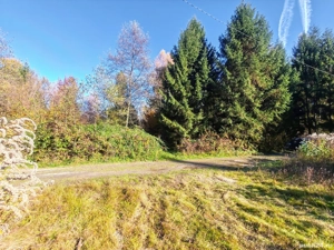 Teren Valea Avrigului (Avrig, Sibiu)  - imagine 4