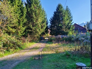 Teren Valea Avrigului (Avrig, Sibiu) 