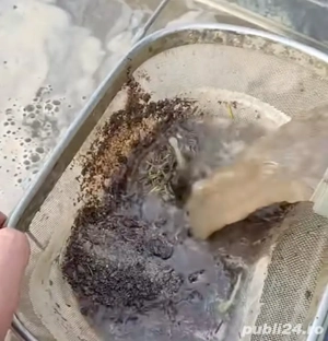 Curățare fântâni și adâncire 