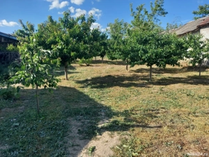 Casă și teren de vânzare pe Valea Dunării  - imagine 5