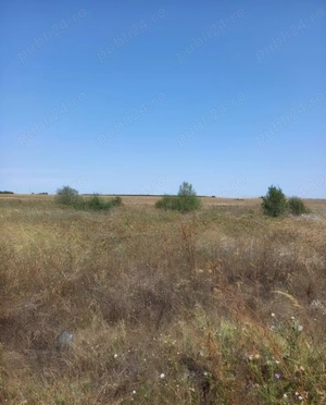 Vanzare teren in comuna Berceni