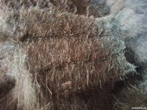 Baloti de lucerna cu fan jumate jumate - imagine 2