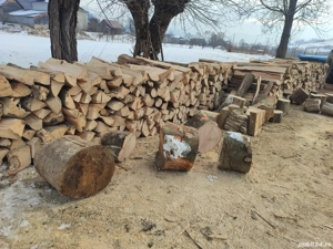 Lemne fag de vânzare! La metru cub  - imagine 2