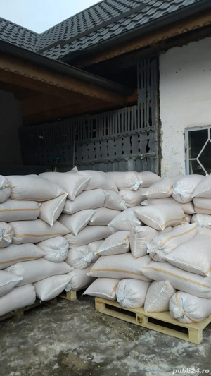 Vand porumb boabe productia anului 2025 , pret 0,9 RON   kg  Nu raspund la mesaje , doar sunati la n