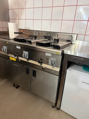 Friteuza electrica dubla 2x10l