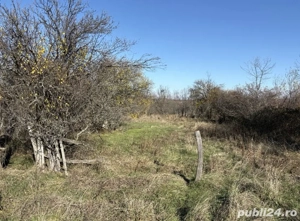 Teren la 11 km de Pitesti - imagine 3