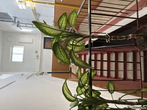 Proprietar vând apartament cu 4 camere