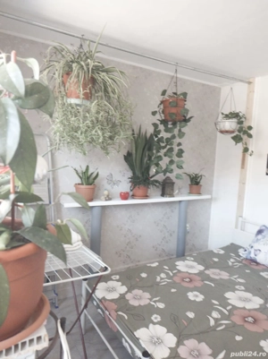 vand apartament resita 