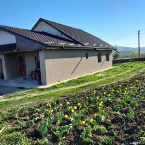 Vand Casa  - imagine 6