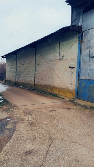 Depozit Ortisoara direct proprietar 