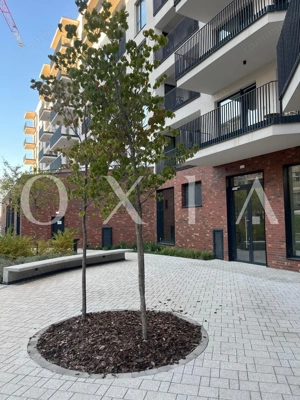 AX1178 Paltim, Studio-Posibilitate De Compartimentare In Doua Camere - imagine 6