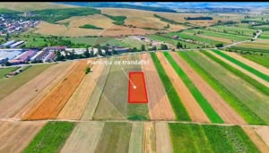 TEREN extravilan- 6 E/MP- CU PLANTATIE DE TRANDAFIRI! Teliu 7000mp - imagine 12