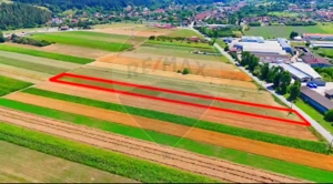 TEREN extravilan- 6 E/MP- CU PLANTATIE DE TRANDAFIRI! Teliu 7000mp - imagine 11