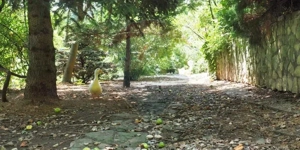 Vila la Lacul Snagov deschidere 21 ml,  ponton propriu - imagine 11