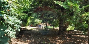 Vila la Lacul Snagov deschidere 21 ml,  ponton propriu - imagine 15