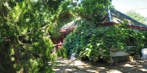 Vila la Lacul Snagov deschidere 21 ml,  ponton propriu - imagine 16