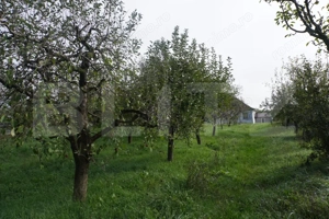 Casă 140 mp, cu teren 3.800 mp, Tătărăști - imagine 13