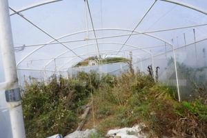 Casă 140 mp, cu teren 3.800 mp, Tătărăști - imagine 6