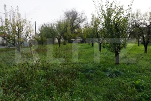 Casă 140 mp, cu teren 3.800 mp, Tătărăști - imagine 9