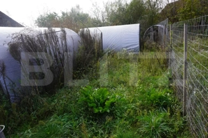 Casă 140 mp, cu teren 3.800 mp, Tătărăști - imagine 4