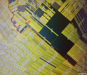 Teren Agricol, DN 6, Ghimpati - imagine 2