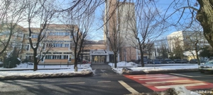 Apartament de închiriat pe Victor Babeș  - imagine 10