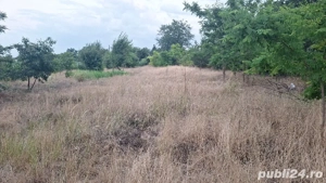 Teren intravilan 1300mp - imagine 2