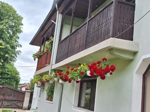 Vanzare imobil Alexandria