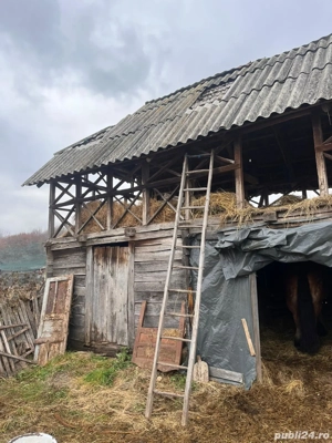 Vând casă bătrânească, pătul și fânar pe o suprafață de 518 mp - imagine 2