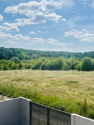 Vila modernă de închiriat pe termen lung – Siliștea Snagovului,  Jacuzzi  Ponton - imagine 18